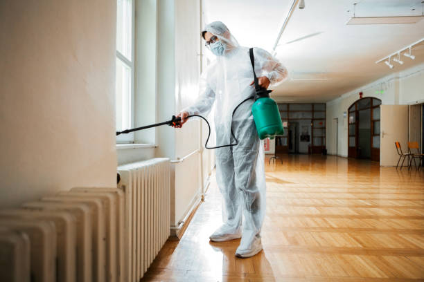 Best Pest Exclusion Services  in Lazy Mountain, AK